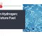 Green Hydrogen_ The Future Fuel