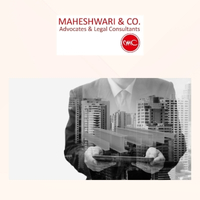 business structures for foreign companies in India