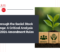 CSR Through the Social Stock Exchange A Critical Analysis of the 2026 Amendment Rules CSR Social Stock Exchange