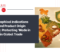 Geographical Indications (GI) and Product Origin Marks Protecting ‘Made in India’ in Global Trade geographical indications India